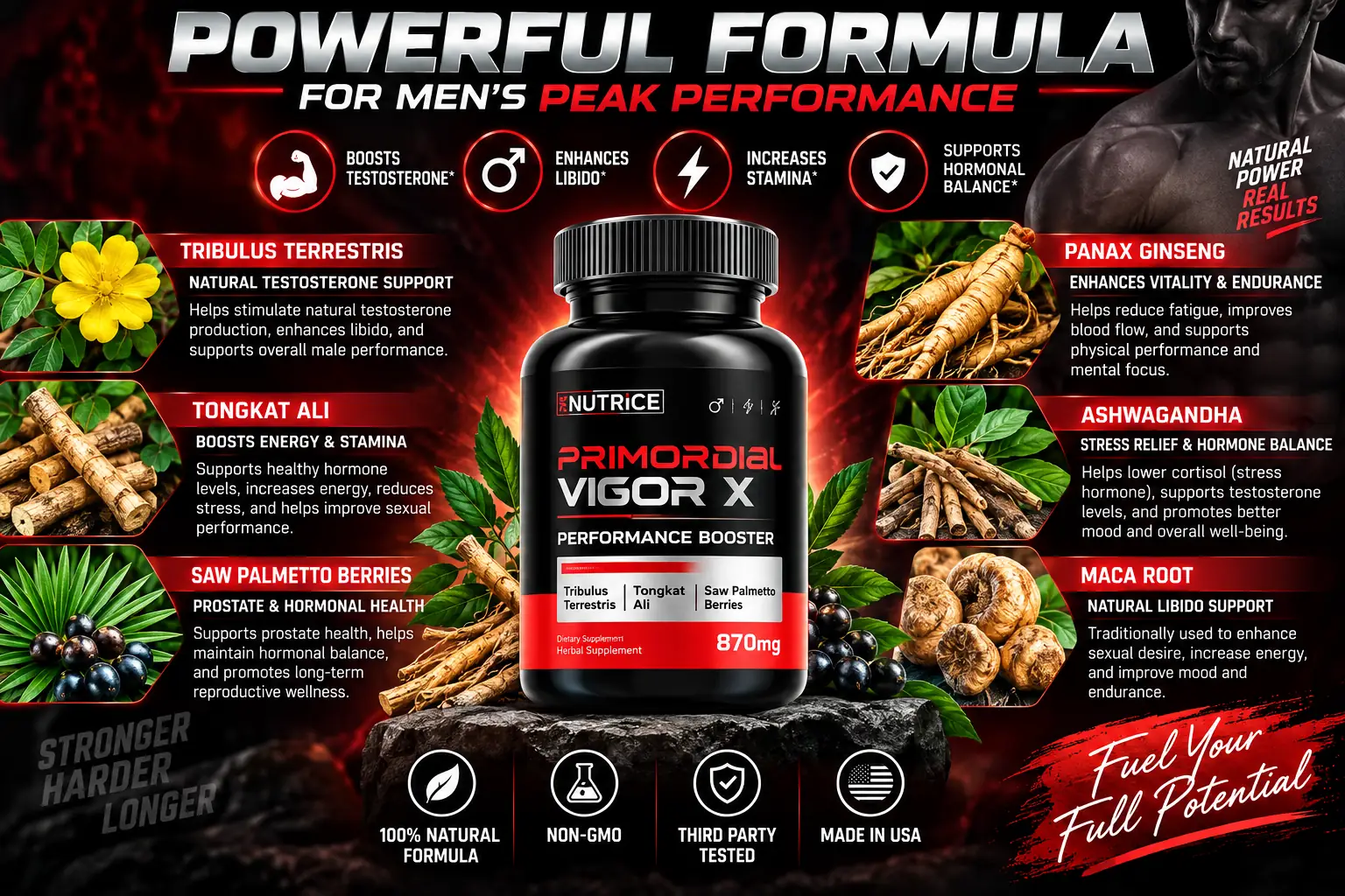 Primordial Vigor X formula and botanical ingredients